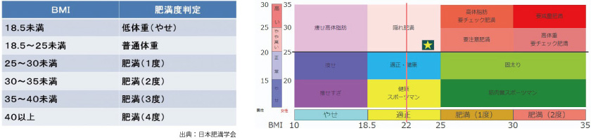 日本肥満学会の肥満度判定基準